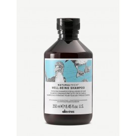 Davines NaturalTech Wellbeing Daily Shampoo 250ml